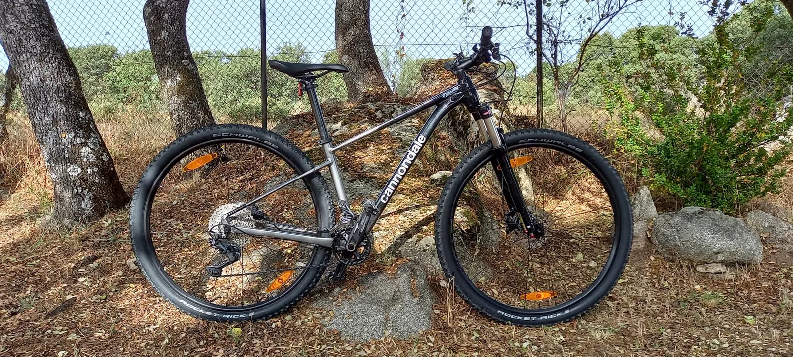 BICI MTB 29 CANNONDALE SL4